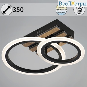 Потолочный светильник Reluce 00330-0.3-1+1