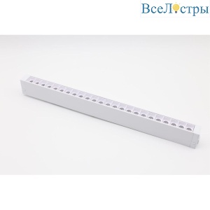 Трековый магнитный светильник Aployt Magnetic track 220 APL.0200.10.18