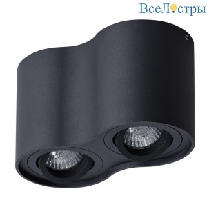 Потолочный светильник Arte Lamp Falcon A5645PL-2BK