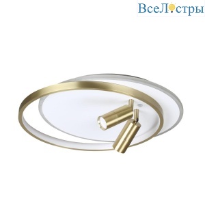 Потолочная светодиодная люстра Lumion Naoko 5603/63CL