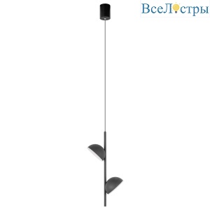 Подвесной светильник Loft IT Mons 10335 Black