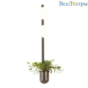 Бра Odeon Light Flower 4681/2WA