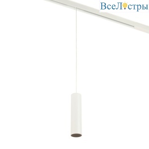 Трековый магнитный светильник Myfar Ray MT0221-20W3K-S-W