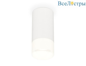 Потолочный светильник Ambrella Light Techno Spot XS8161003 (C8161, N8402)