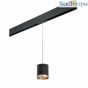 Трековый светильник Lightstar Rullo (213487+595887+203490) PRORP348790