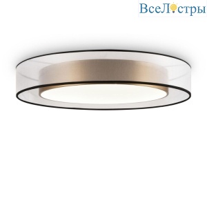 Потолочный светильник Freya Zoticus FR6005CL-L48G
