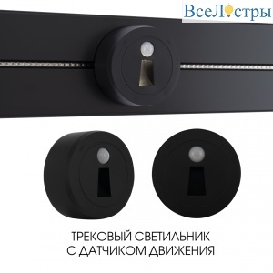 397953TLS/LWS Black