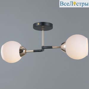 Потолочный светильник Illumico IL0689-2CSQ-24 BK FGD LIBRA