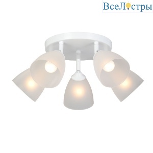 Спот Vitaluce V4355-0/5PL