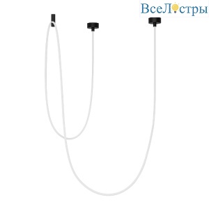 Подвесной светильник Arlight SP-TROPIC-SURFACE-R18-L5000-58W Warm3000 (BK, 360 deg, 230V) 043405