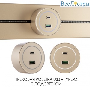 Трековая розетка Arte Milano Am-track-sockets-39 399732TS/USB-Type-C Gold
