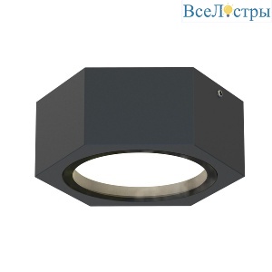 Уличный потолочный светильник Favourite Fantum 4667-1U