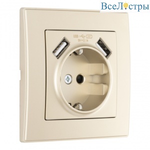 Комплект розетки с/з и шторками + USB и рамкой Arte Milano SET06-1-47-1 shampan
