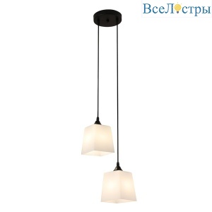 Подвесной светильник Escada Zen 160003/2P Black ES0000026