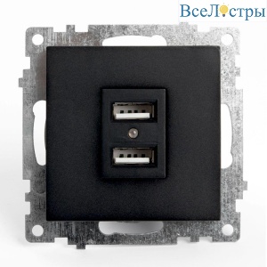 Розетка 2хUSB Stekker Катрин черный GLS10-7115-05 39616
