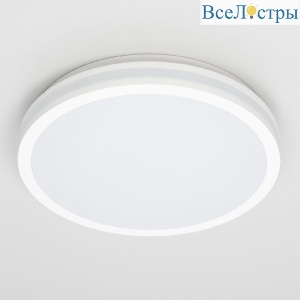Потолочный светильник Citilux Luns CL711020V