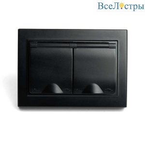 Розетка 2-местная 2P+PE Stekker Эрна с крышкой черный PST16-9015-03 49138
