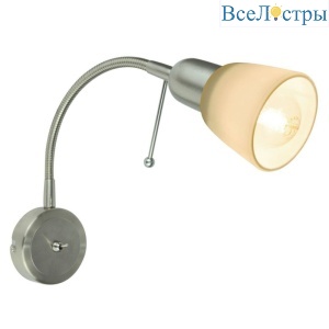 Спот Arte Lamp Lettura A7009AP-1SS
