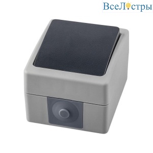 Выключатель одноклавишный Stekker Велена серый-графит PSW10-111-54 32752