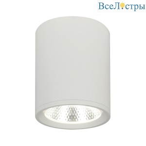 Потолочный светильник 20003 20003SMU/02LED SWH