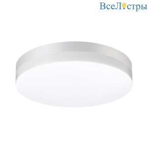 Уличный настенно-потолочный светильник Novotech Street 358885