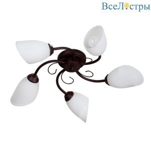 Потолочная люстра Vitaluce V3715/5PL
