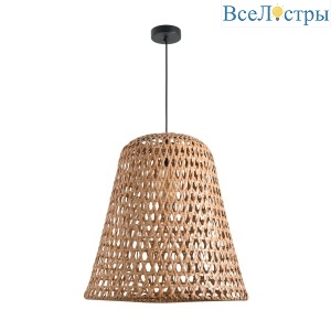 Подвесной светильник Favourite Recinto 4888-2P
