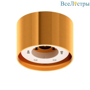 Корпус светильника накладной Ambrella light DIY Spot золото желтое C8121
