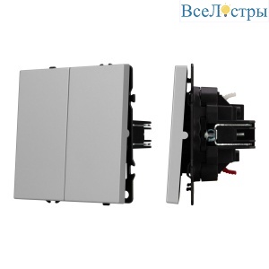 Механизм звонкового выключателя двухклавишный Arlight SWT-NOBE-MKR2-SFPL-IS (230V, 10A) (Никель) 061786
