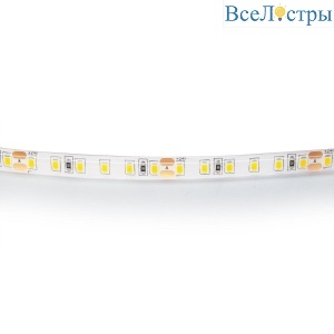 Светодиодная влагозащищенная лента Lightstar 12W/m 120LED/m дневной белый 5M 420854