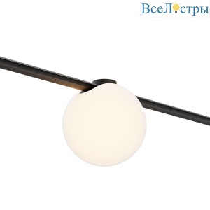 Трековый светильник Maytoni Technical Luna Arity TR236-1-5W3K-B