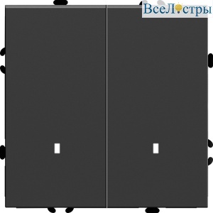 Выключатель двухклавишный c индикатором Stekker RSW10-5102-05 Эмили 49838