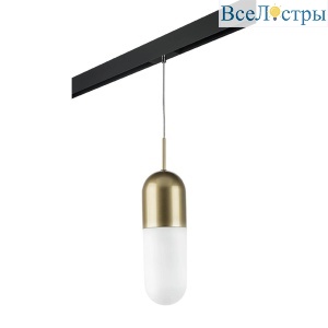 Трековый светильник Lightstar Ramo (690113+595007) PRO690113