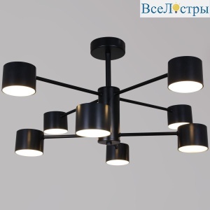 Люстра на штанге Reluce 47206-0.3-08BK