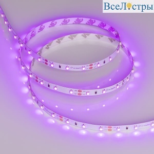 Светодиодная лента Arlight RT-A60-8mm 12V Pink (4.8 W/m, IP20, 2835, 5m) 013571(2)