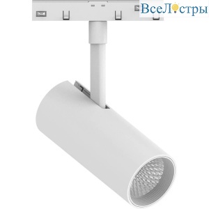 Трековый светодиодный светильник Feron MGN303 41947