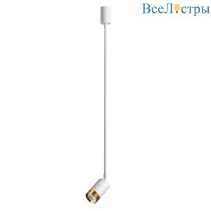 Подвесной светильник Odeon Light Ad Astrum 4350/1C