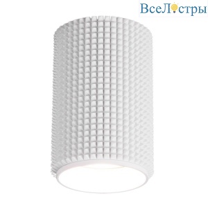 Потолочный светильник Elektrostandard Spike DLN112 GU10 белый 4690389149580