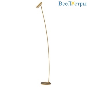 Торшер Belfast Belvoir 85061-1F BR