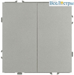Переключатель Эра Galaxy 15-1106-03 двойной 10АХ-250В IP20 алюминий Б0070696