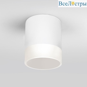 Уличный светодиодный светильник Elektrostandard Light Led 35140/H белый 4690389177958
