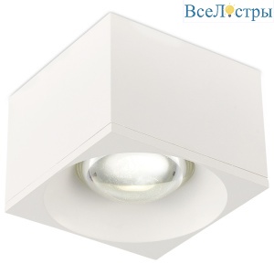 Накладной светильник Simple Story 2062-LED12CLW