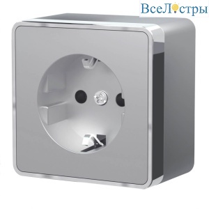 Розетка с заземлением Werkel Gallant серебряный W5071006 4690389167157