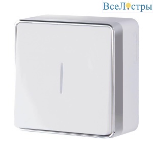 Выключатель одноклавишный с подсветкой Werkel Gallant белый W5010101 4690389163791