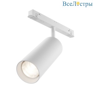 Трековый магнитный светильник Maytoni Focus LED TR032-4-20WTW-M-DD2-W