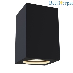 Потолочный светильник Maytoni Alfa C011CL-01B