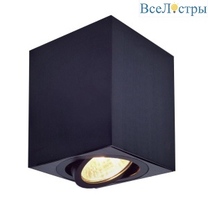 Потолочный светильник Дюрен CL538213