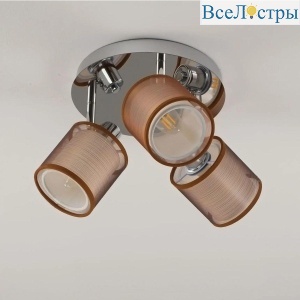Спот Moderli Room V10627-3C