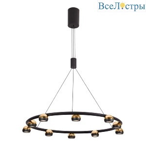 Подвесная люстра Lussole Lassen LSP-7253