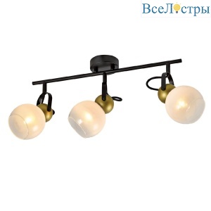 Спот IMEX SP.049-63-01
